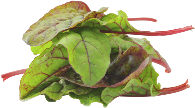 Storage Temperatures - Spinach Clipart (800x531), Png Download