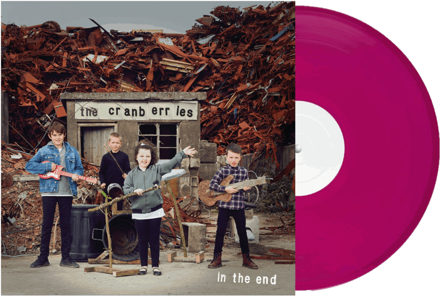 In The End Cranberry Coloured Vinyl £22 - Cranberries In The End Clipart (1000x1000), Png Download