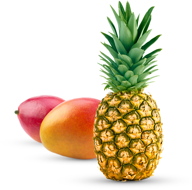 Tropical Fruits Clipart (650x650), Png Download