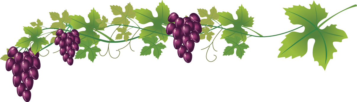 Wine Common Grape Royalty Free Clip Art - Weinrebe Clipart - Png Download (1207x347), Png Download