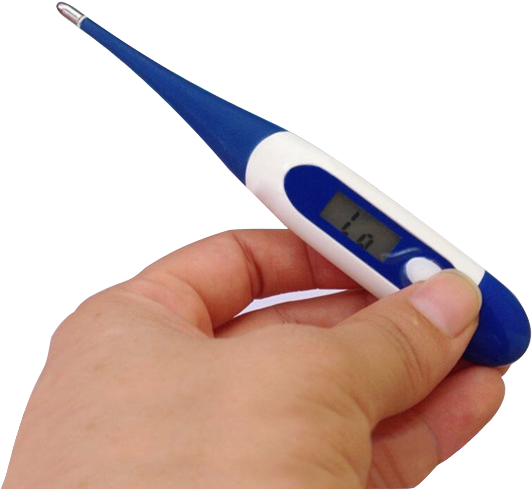 China Body Temperature Thermometer, China Body Temperature - Medical Thermometer Clipart (599x600), Png Download