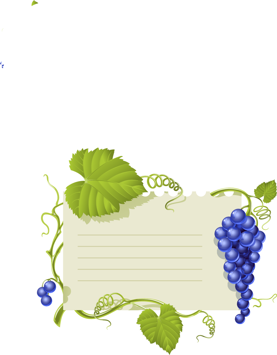 Grapevine Vector Wine Leave Clipart (886x1135), Png Download