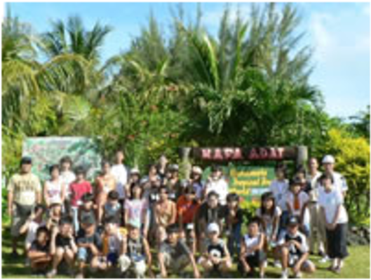 Attalea Speciosa Clipart (785x520), Png Download