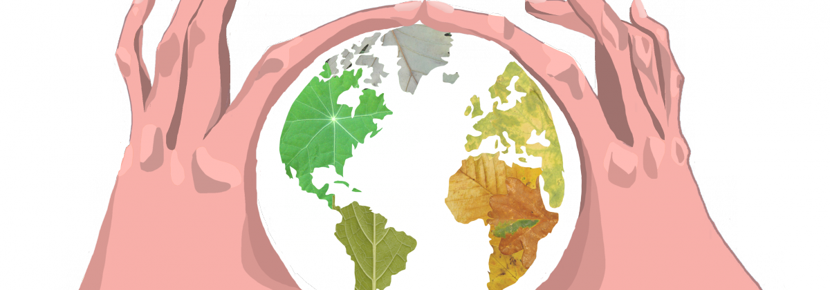 Fep Diaconie Climat Association Proteste - Gdp Growth Map 2013 Clipart (1200x420), Png Download