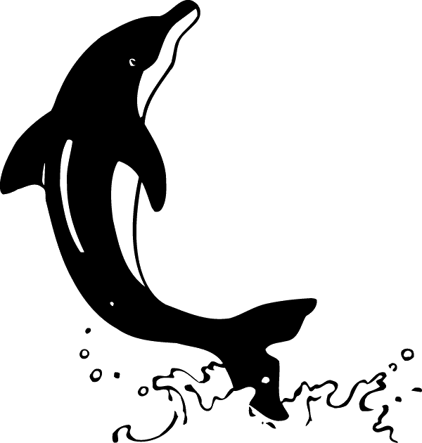 13723 - Dolphin Clipart (600x630), Png Download
