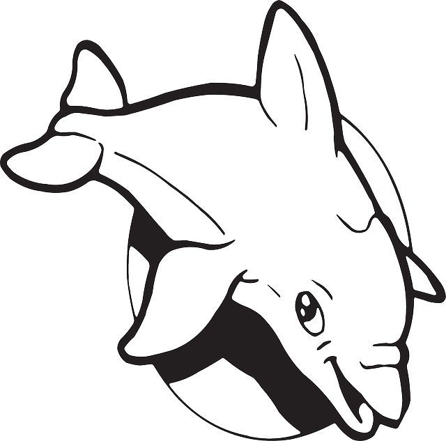 Dolphines Clipart Dolphin Tail - Clip Art - Png Download (640x633), Png Download