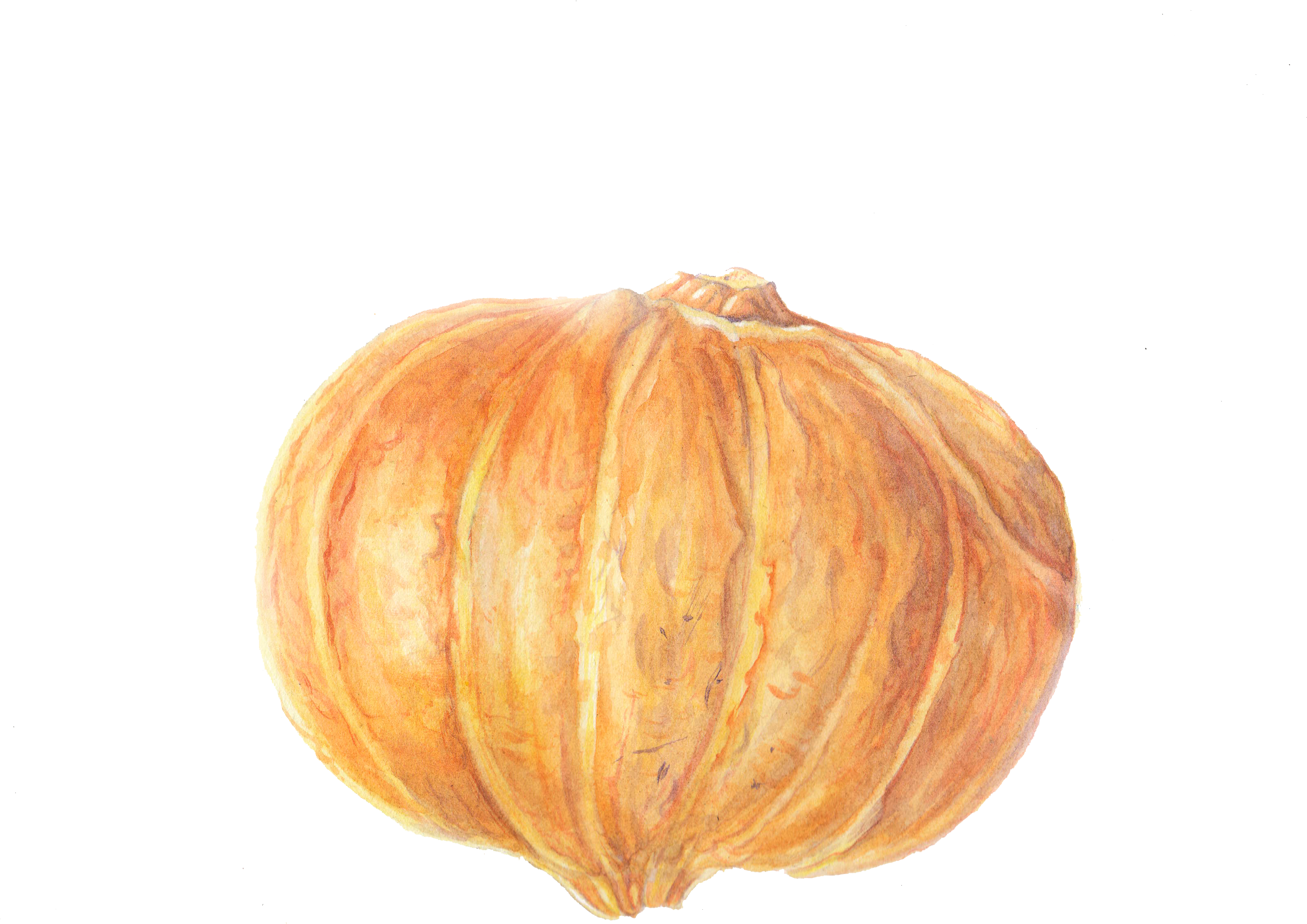 Pumpkin Clipart (3504x2552), Png Download