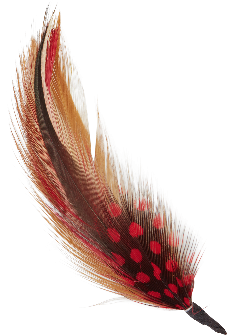 Hat Feather Png Clipart (2000x2000), Png Download