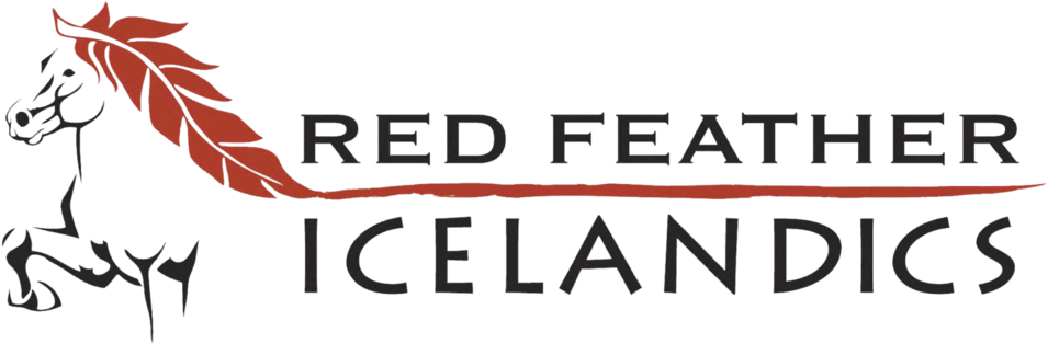 Red Feather Png Clipart (1000x346), Png Download