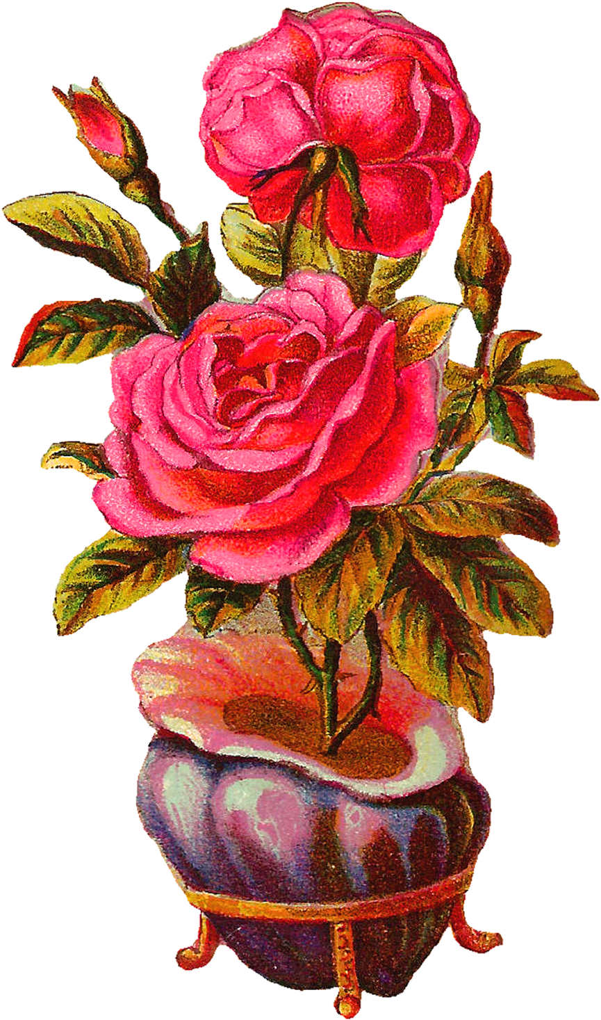 This Is A Gorgeous Digital Rose Clip Art Of Big, Pink - Vintage Vase Png Flower Transparent Png (993x1600), Png Download