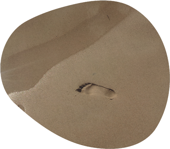 Color Of The Year 2019 Color Of The Year - Honeybee Clipart (800x600), Png Download