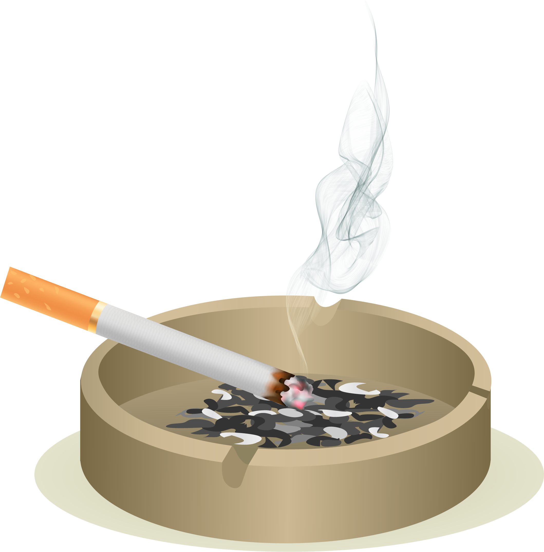 Euclidean Vector Ashtray Cigarette Icon - Stop Smoking Before Smoking Stops You Clipart (2118x2149), Png Download