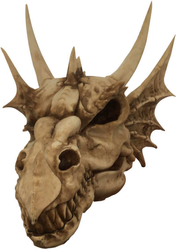 Dragon Skull Png Clipart (806x992), Png Download