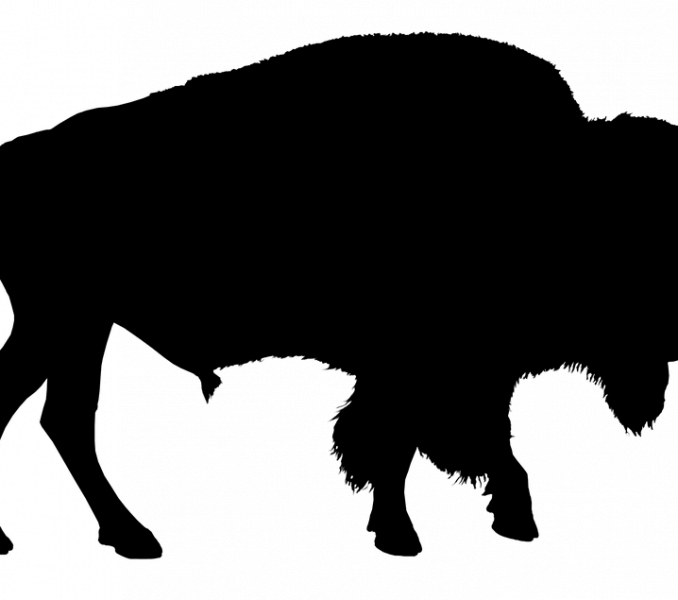 Bison Pictures Free Bison Silhouette Buffalo Free Image - Clipart Buffalo Silhouette - Png Download (678x600), Png Download