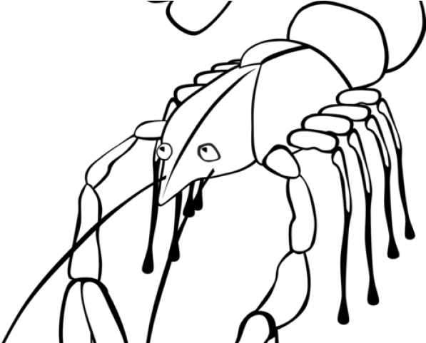 Lobster Clipart Line Drawing - Crawfish Clip Art - Png Download (640x480), Png Download