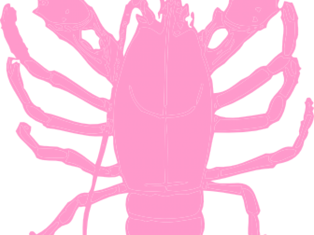 Lobster Clipart Pink - Crawfish Clipart Transparent Background - Png Download (640x480), Png Download