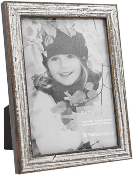 Roma Photo Frame - Picture Frame Clipart (541x600), Png Download