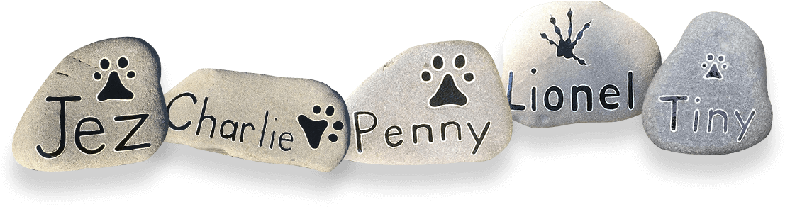 Silver Clipart (1113x292), Png Download