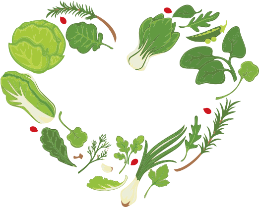 Lettuce Clipart Lettuce Plant - Ensaladas Vector - Png Download (768x427), Png Download