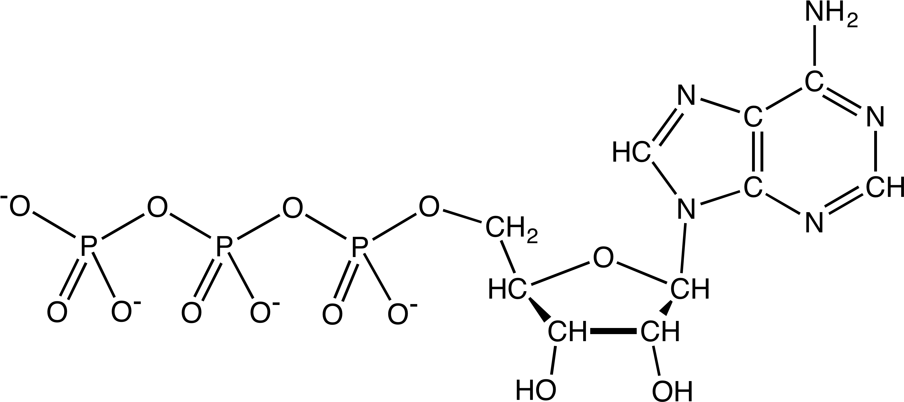 File - Atpanionchemdraw - Adenosine Triphosphate Clipart (3902x1764), Png Download