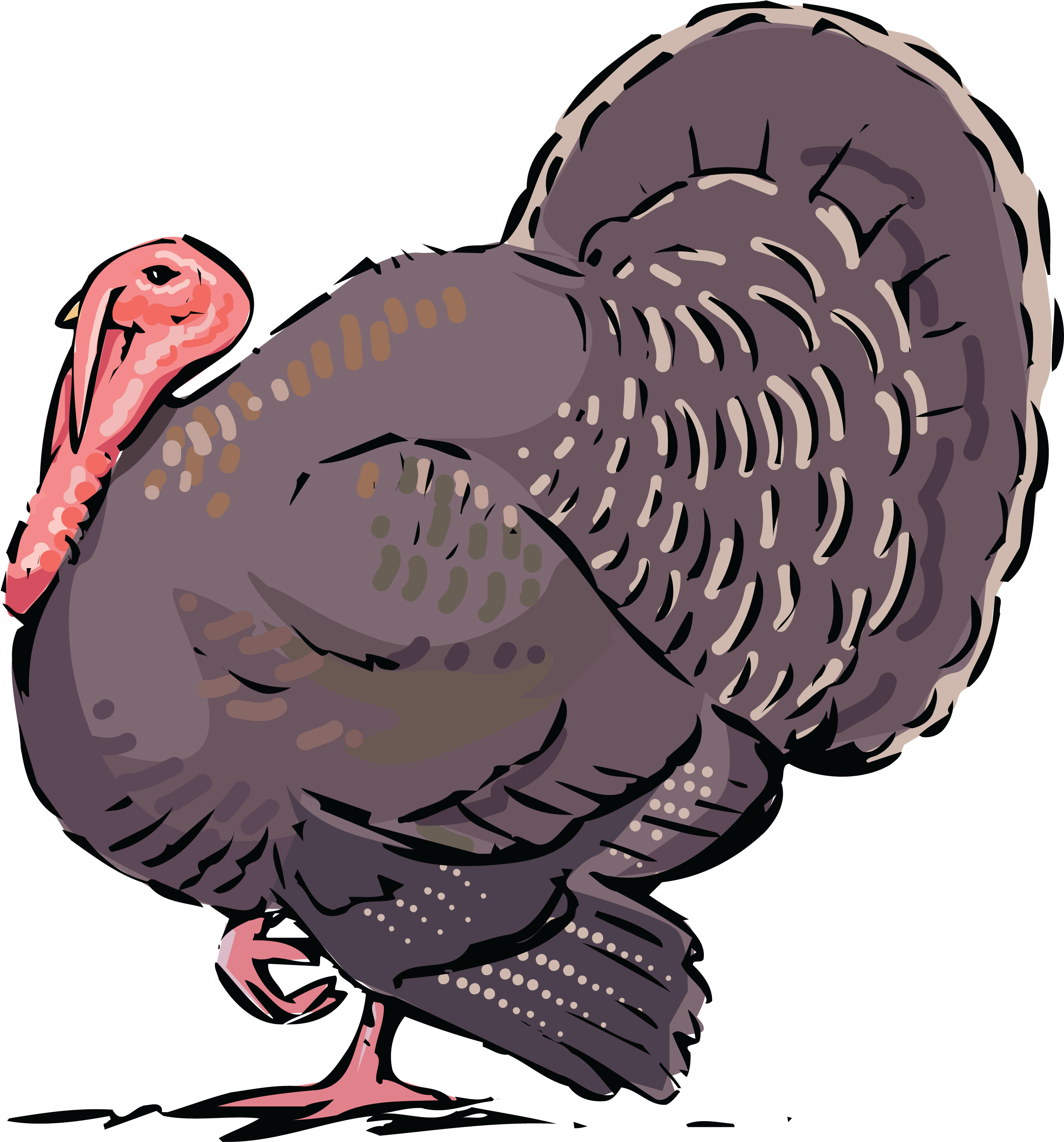 Free Clipart Of A Turkey Bird - Thanksgiving - Png Download (4000x4000), Png Download