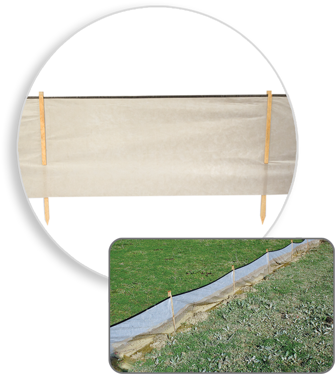 Bsrf Priority - Grass Clipart (689x800), Png Download