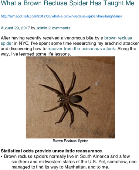 Pdf - Wolf Spider Clipart (600x776), Png Download