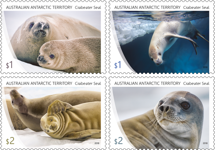 Set Of Stamps - Crabeater Seal Stamps Clipart (970x545), Png Download