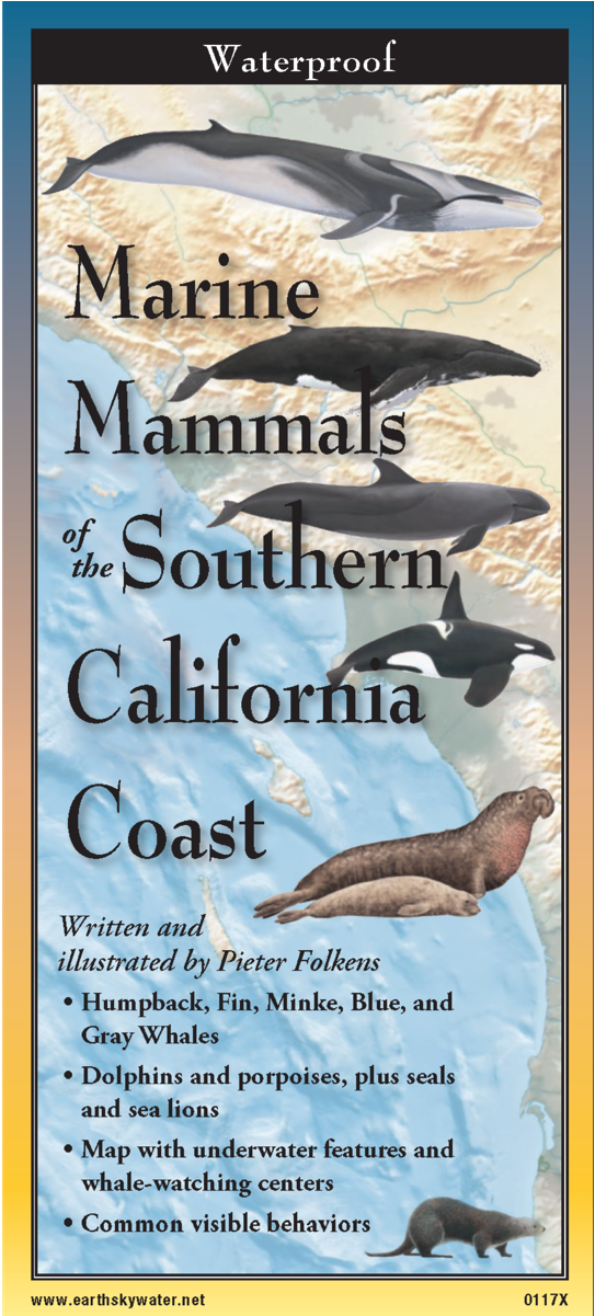 Shopping Cart -  -  - Blue-footed Booby Clipart (1200x1200), Png Download