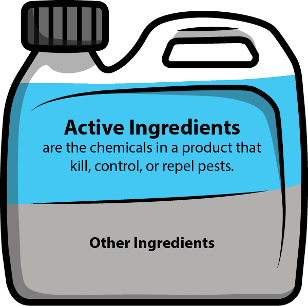 Active Substance Pesticide Clipart (600x596), Png Download
