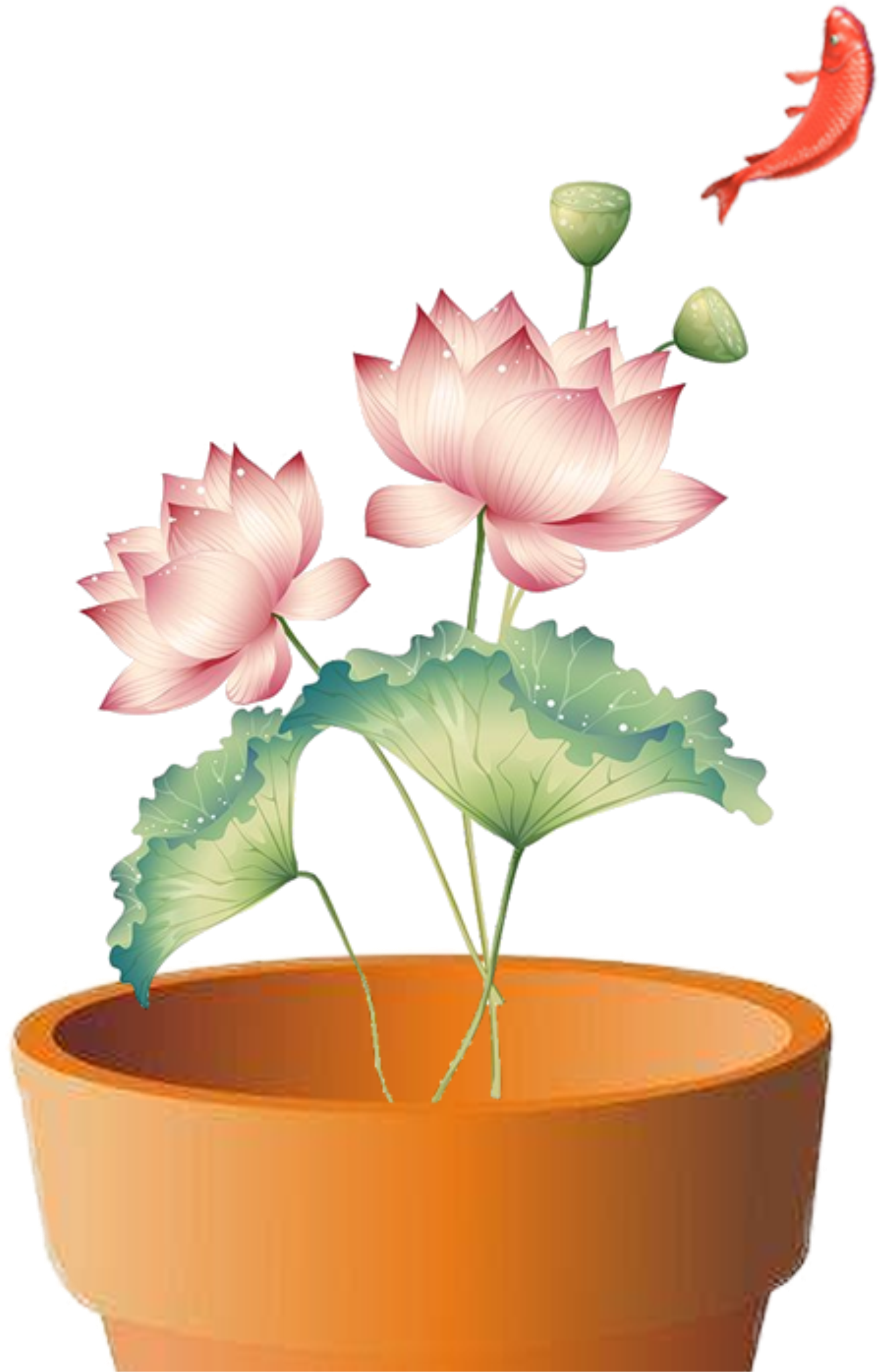 Beautiful Lotus Flower Summer Festival - ภาพ วาด ดอกบัว สวรรค์ แบบ จีน Clipart (2200x2950), Png Download
