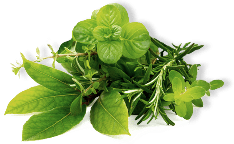 Herb Png Clipart (850x475), Png Download