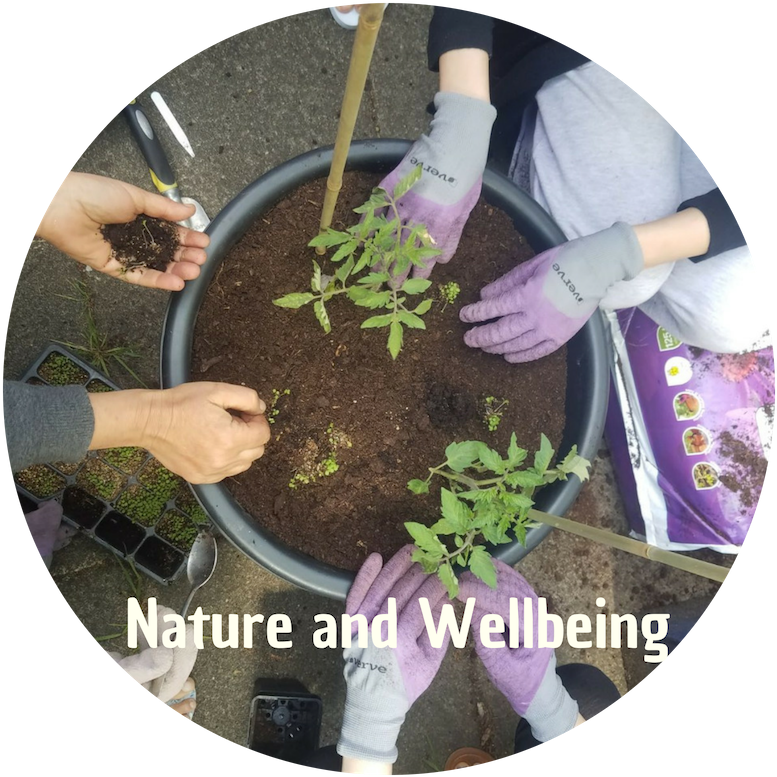 4 - Mulch Clipart (800x800), Png Download