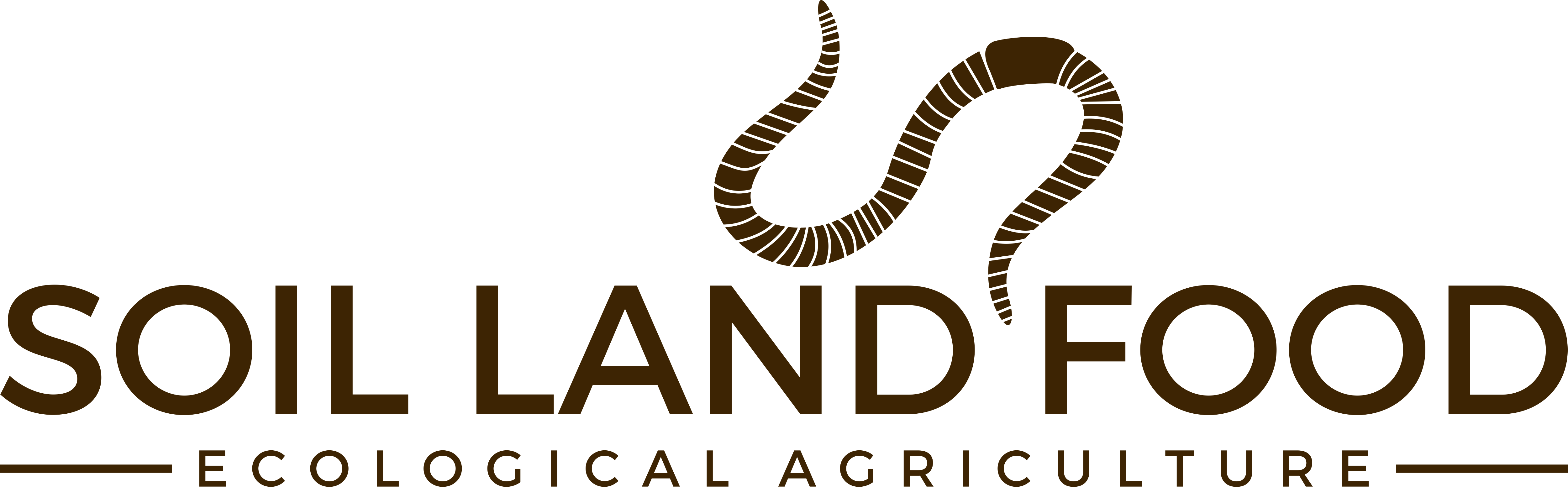 Illustration Clipart (5002x1554), Png Download