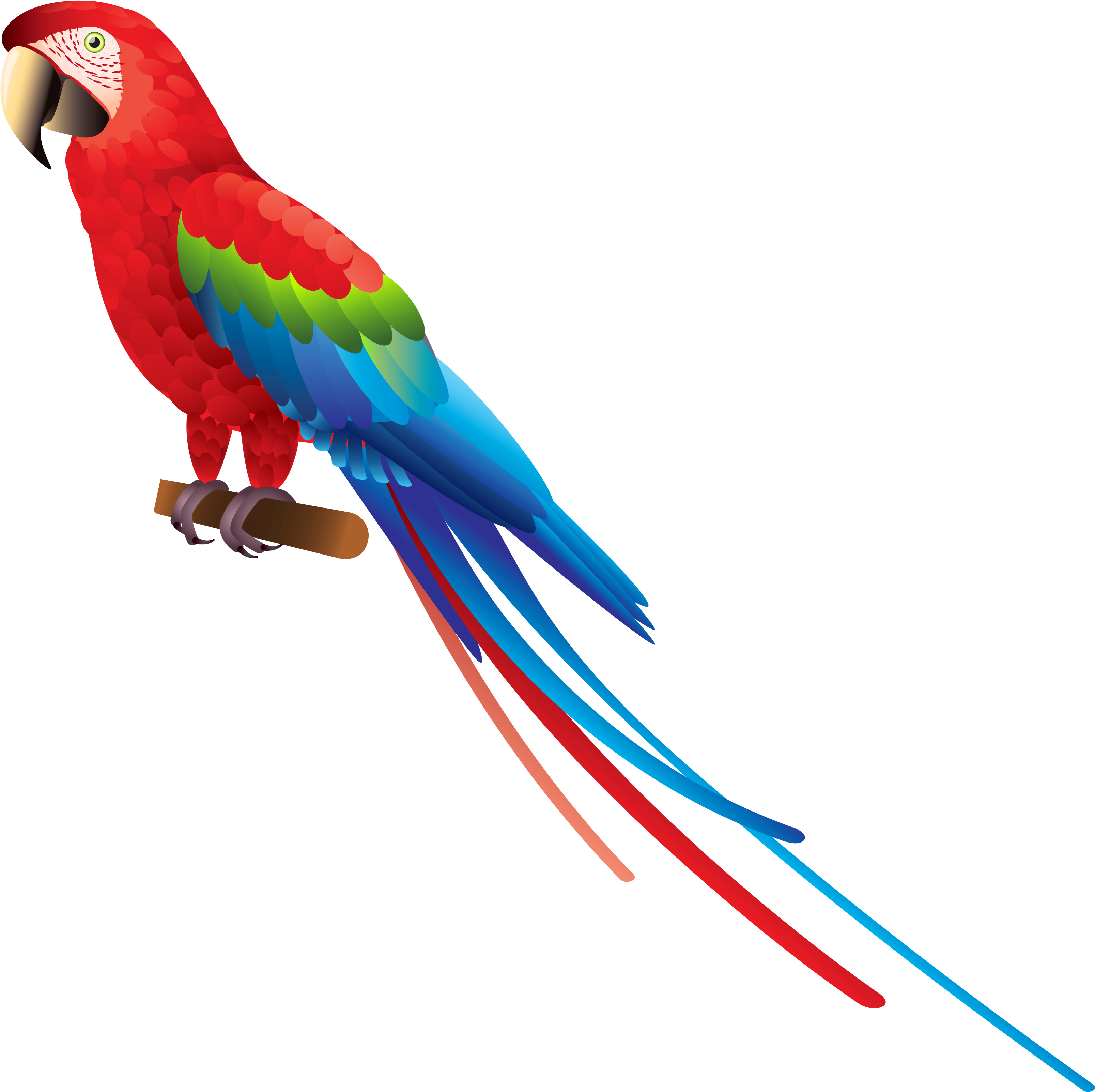 Png Image Information - Parrot Png Clipart (3296x3282), Png Download