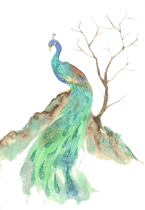 Free Png Download Watercolor Animals Peacock Png Images - Watercolor Animal Png Transparent Clipart (480x693), Png Download