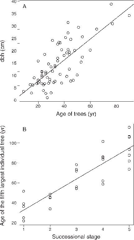 Diameter At Breast Height (dbh) As A Function Of Tree - Tree Age Classes Clipart (431x772), Png Download