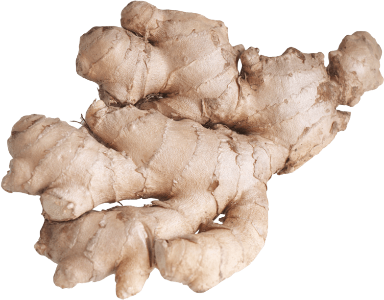 Free Png Ginger Root Png Images Transparent - Ginger Png Clipart (850x679), Png Download