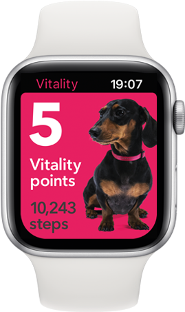 Aw Stanley Points - Basset Hound Clipart (800x500), Png Download