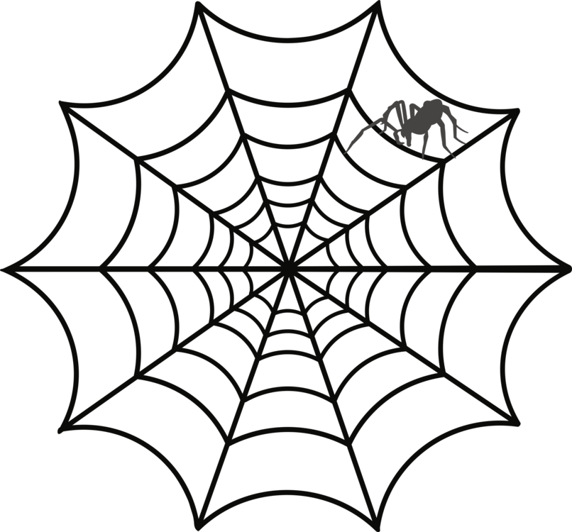 Spider Web Transparent Background Images In Collection - Spider Web Drawing Halloween Clipart (806x750), Png Download