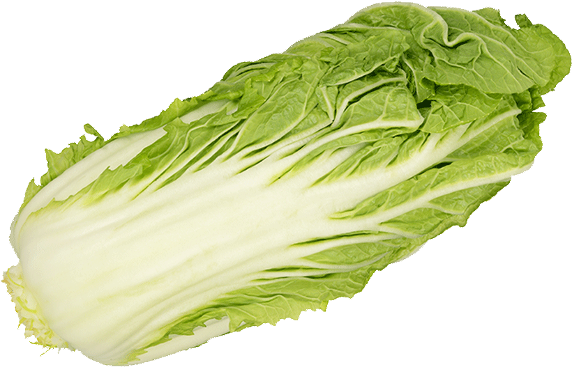‹ › - Romaine Lettuce Clipart (847x1000), Png Download