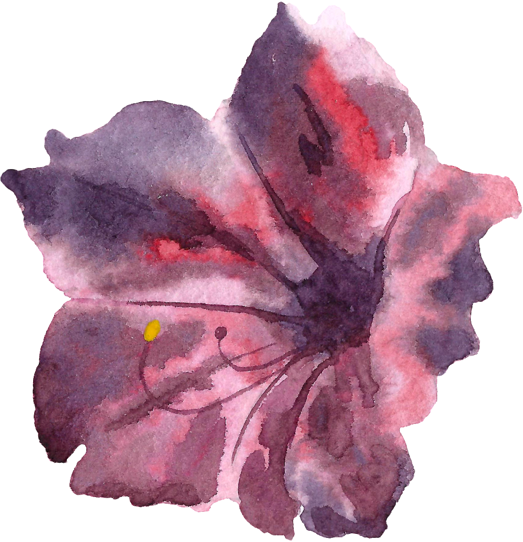Hand Painted Cinnabar Color Flower Png Transparent - Petunia Clipart (1024x1061), Png Download