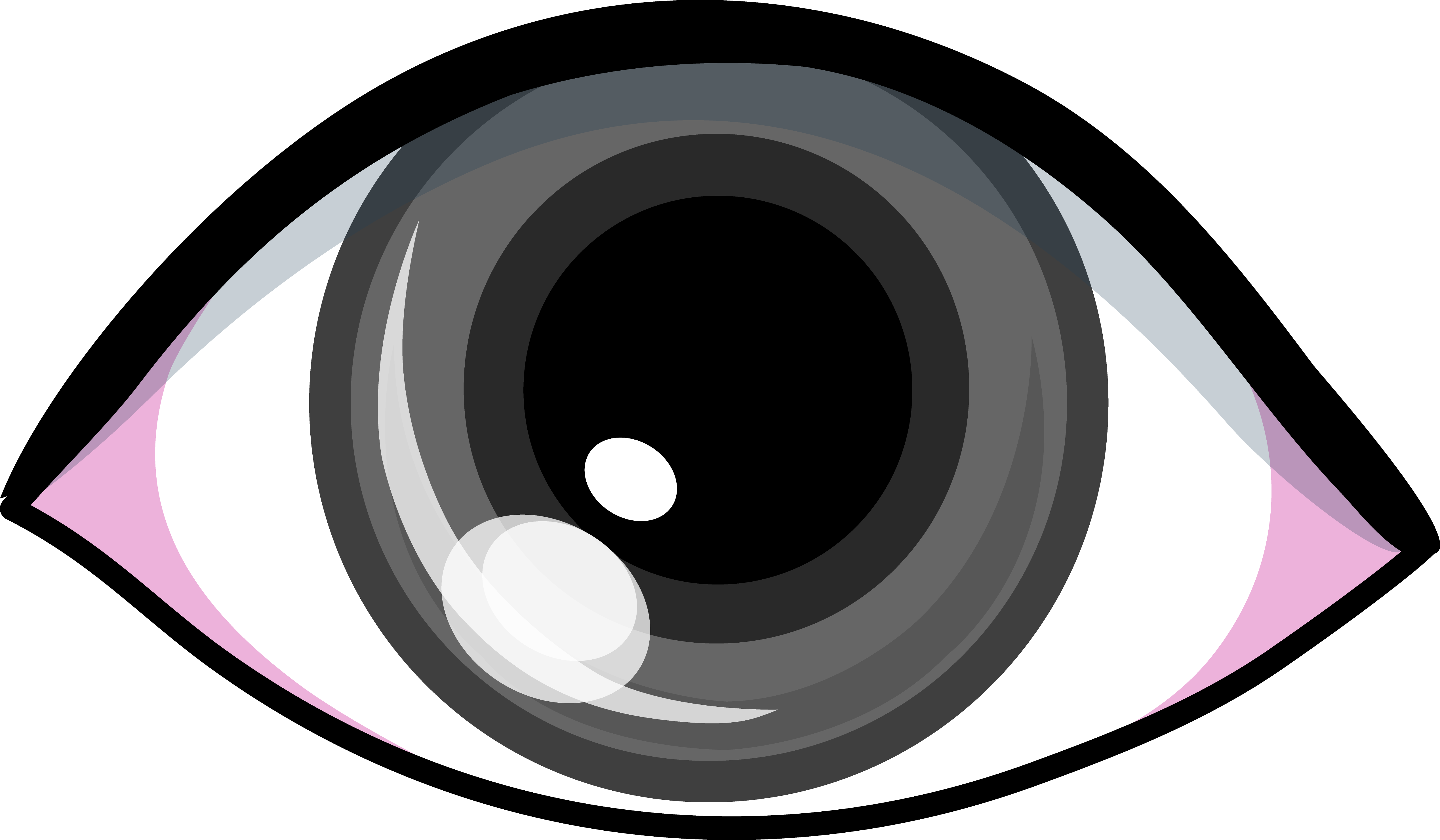 Eye - Grey Eye Clipart - Png Download (5076x2962), Png Download