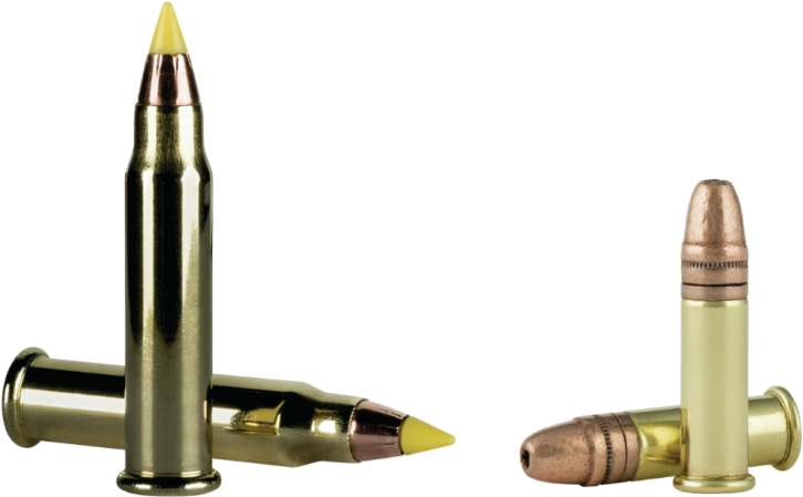 Hollow Point Bullet - Cci 17 Hmr Vnt Clipart (770x479), Png Download