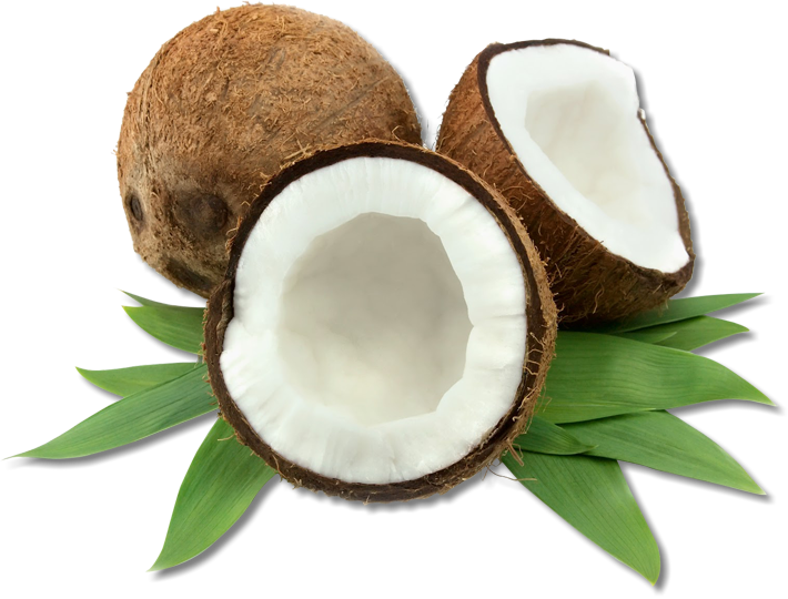Coco-3 - Cocos Nucifera Coconut Oil Clipart (710x540), Png Download