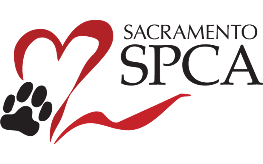 We Adopted Hugsy At The Free Adoption Event With Subaru - Love Clipart (880x550), Png Download