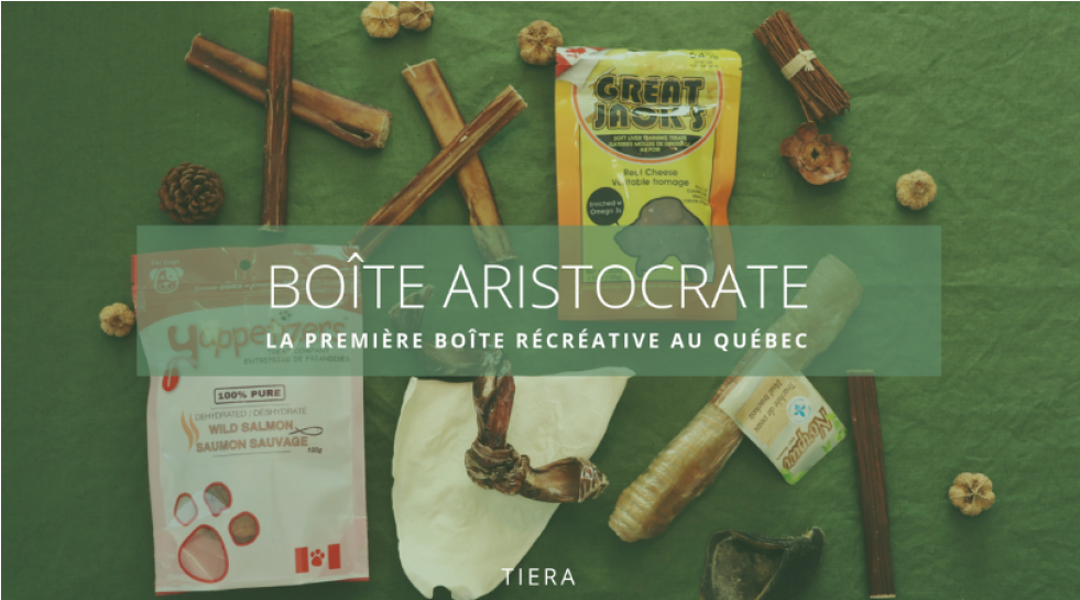 Boîte Récréative - Revolver Clipart (980x980), Png Download