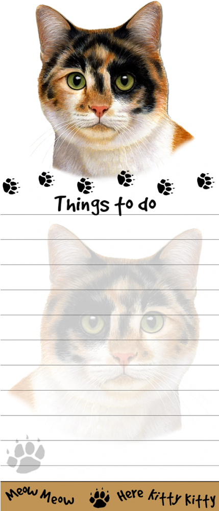 More Views - Domestic Short-haired Cat Clipart (1000x1000), Png Download