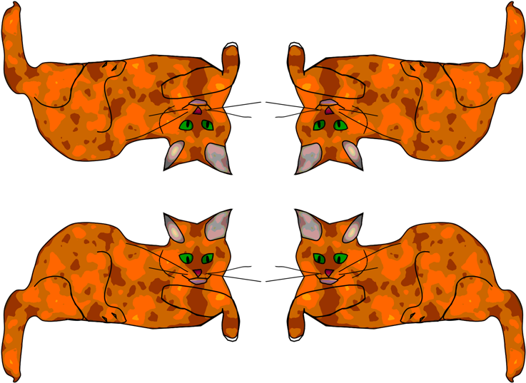 Domestic Short-haired Cat Clipart (800x582), Png Download