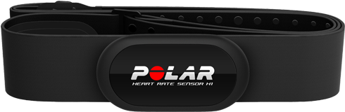 Polar Clipart (550x600), Png Download